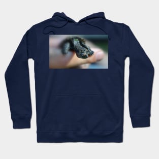 Baby Snapping Turtle Hoodie